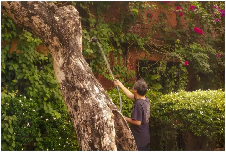 The Sun is a Workplace Hazard. Why don’t We Treat it Like One? ghjhf